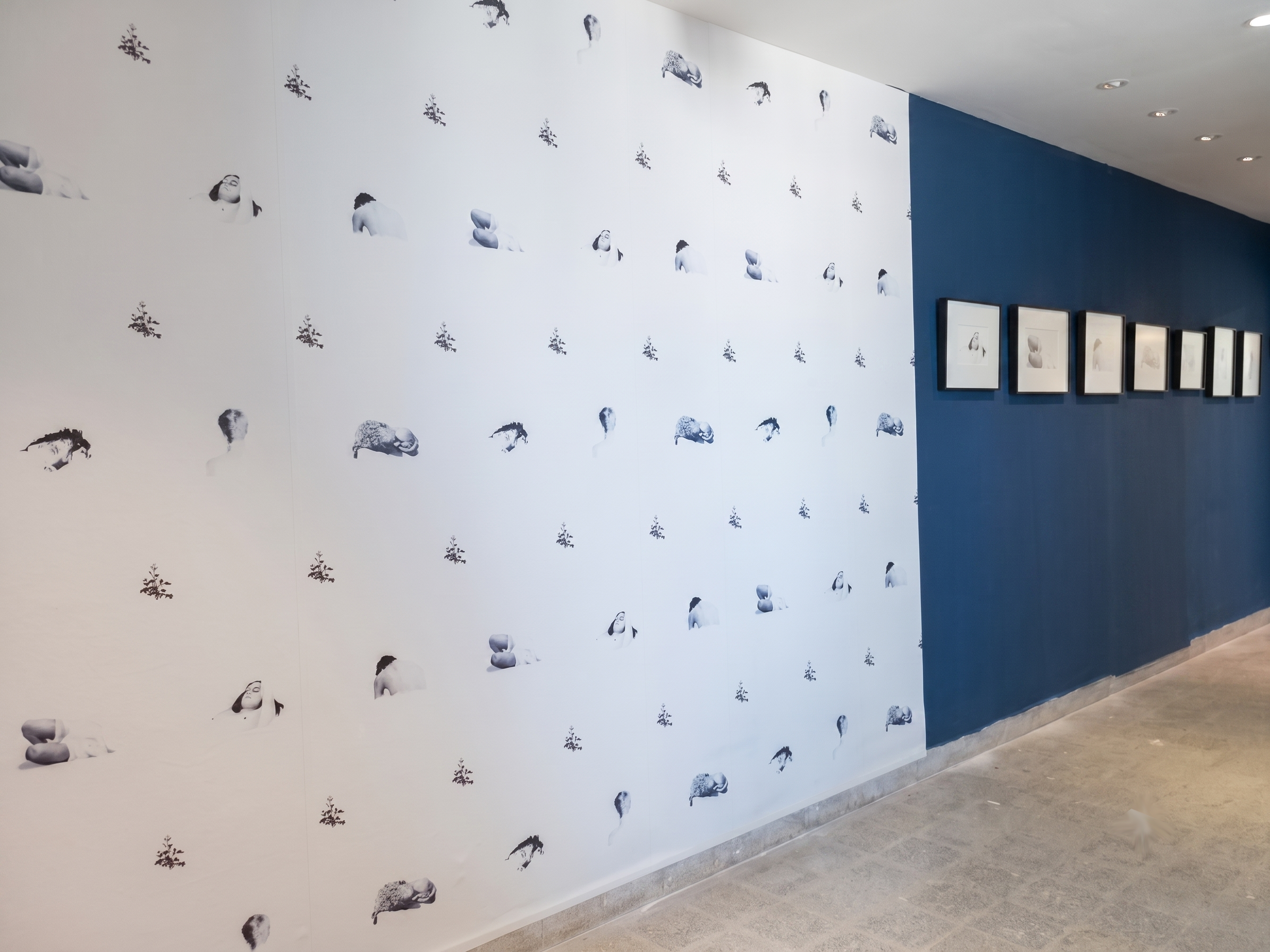 Installation view with works displayed across white and blue gallery walls.