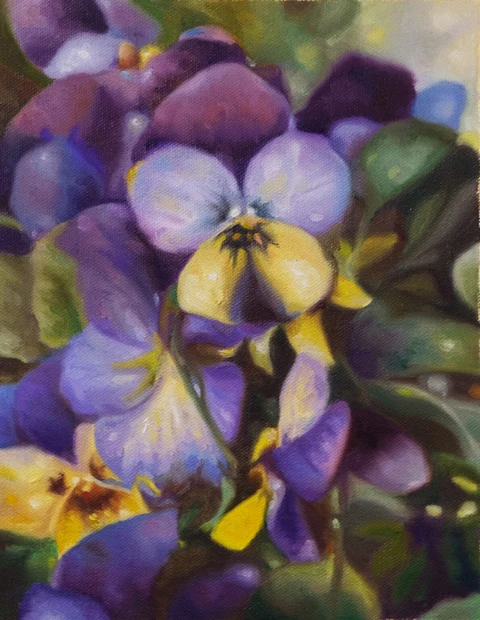 Cluster of purple, yellow, and white viola flowers.