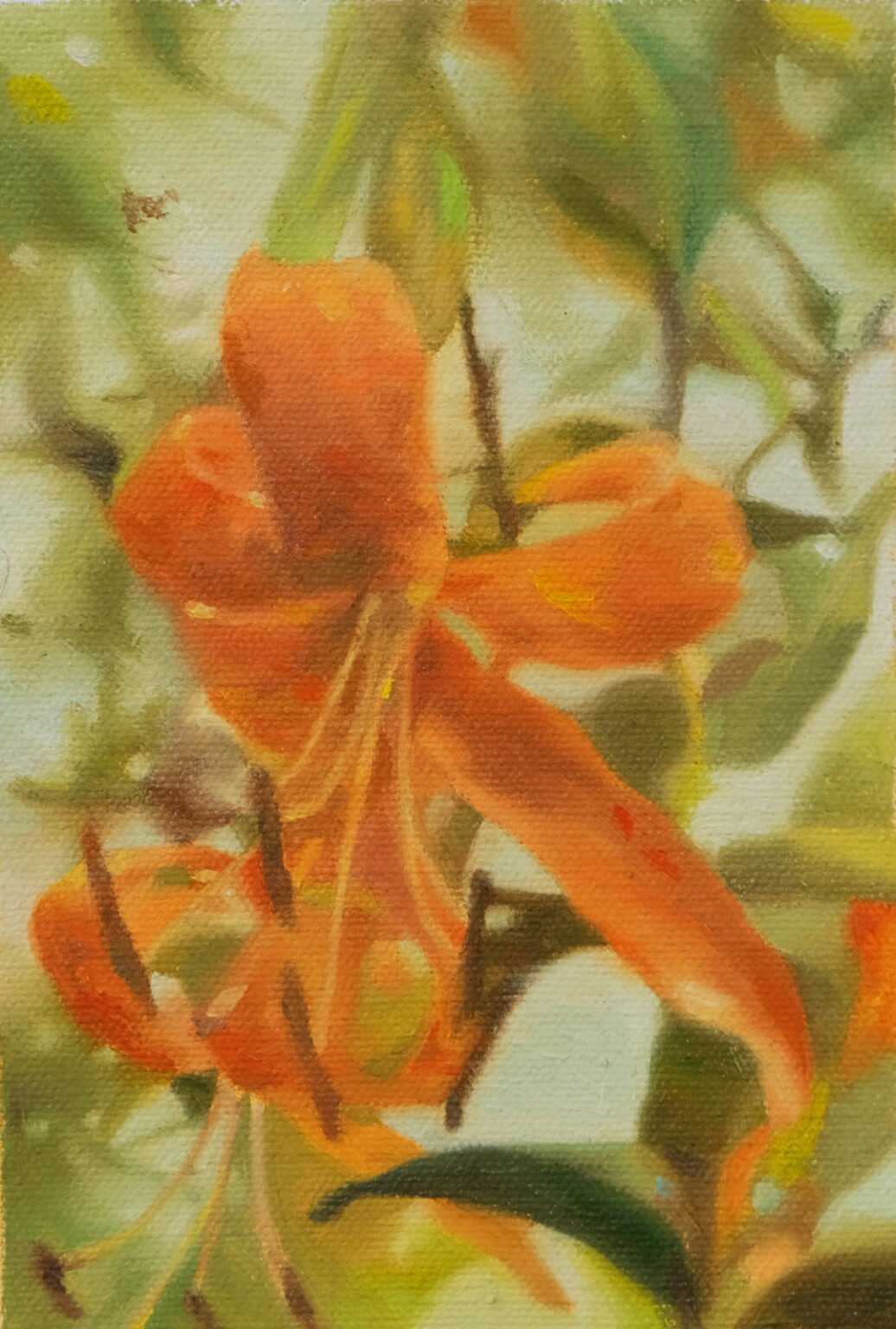 Orange tiger lily blossoms among green stems and leaves.