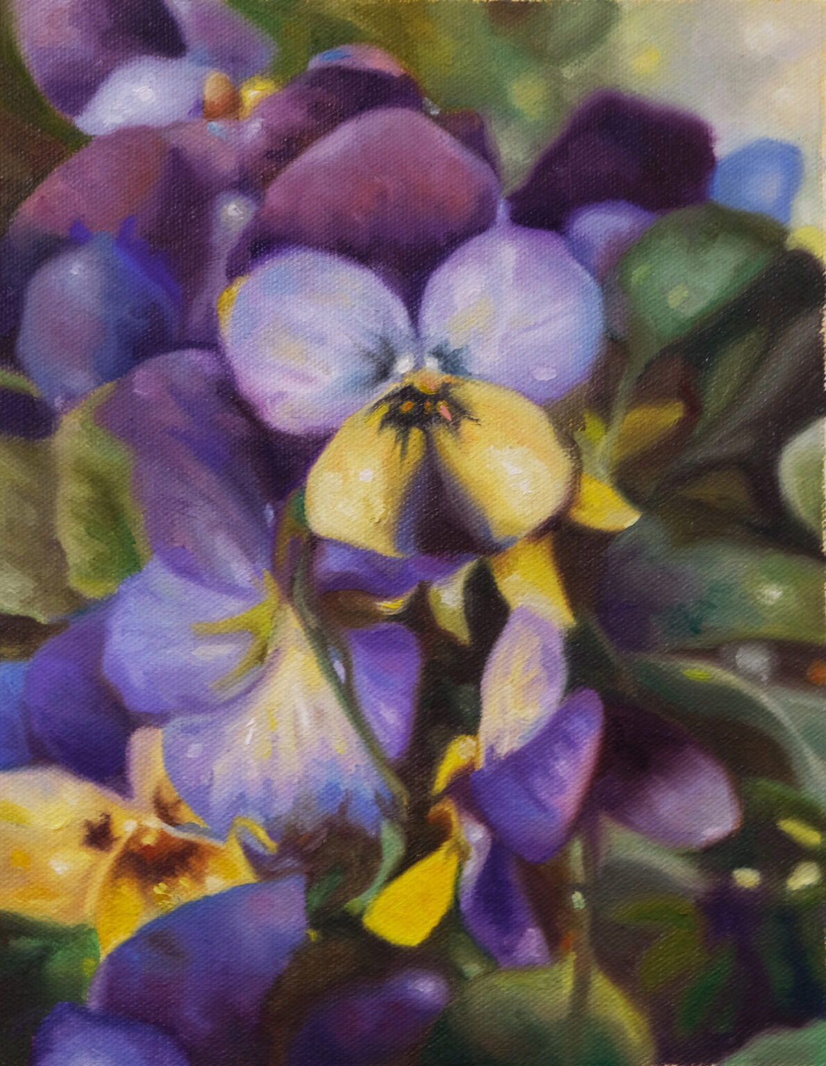 Cluster of purple, yellow, and white viola flowers.
